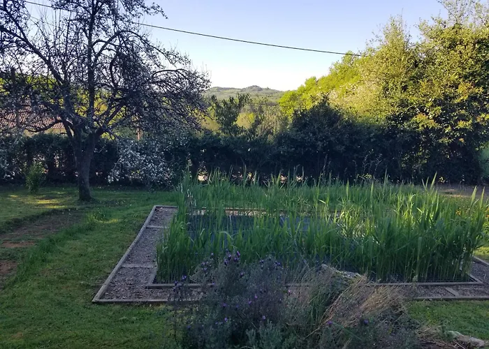 Le Petit Paradis, Mini Maison,Nature,Confort,Calme