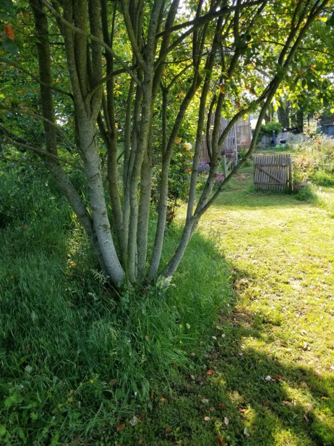 Le Petit Paradis, Mini Maison,nature,confort,calme Saint-Julien-le-Petit