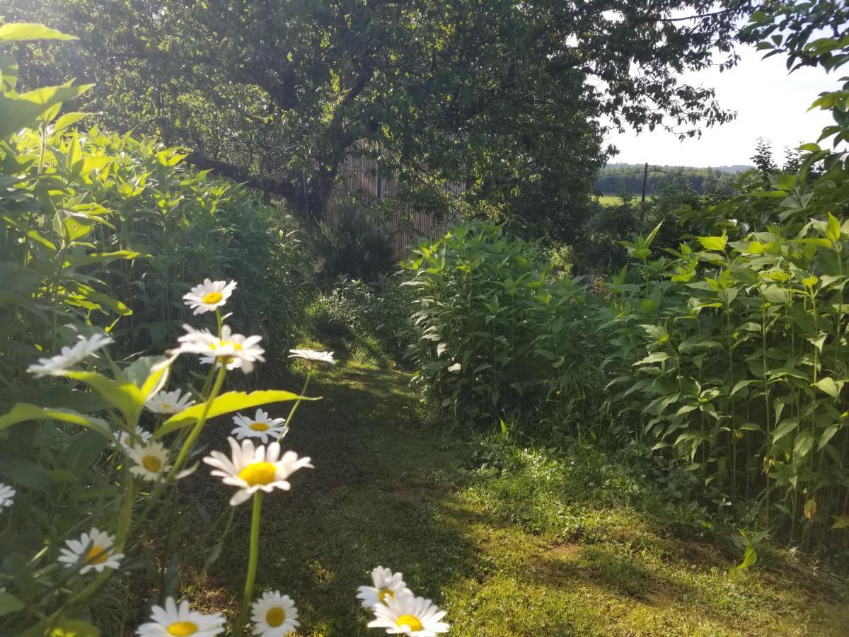 Le Petit Paradis, Mini Maison,nature,confort,calme Chalet Saint-Julien-le-Petit