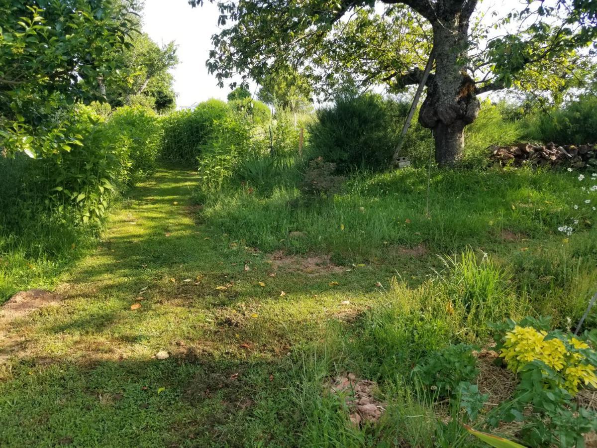 Le Petit Paradis, Mini Maison,nature,confort,calme *