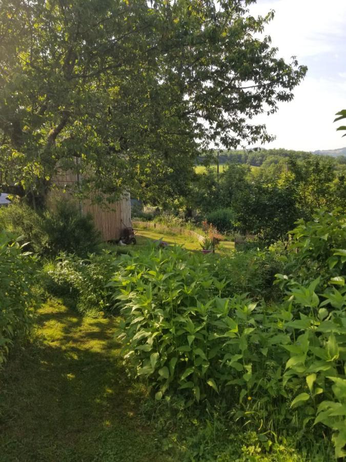 Le Petit Paradis, Mini Maison,nature,confort,calme Saint-Julien-le-Petit