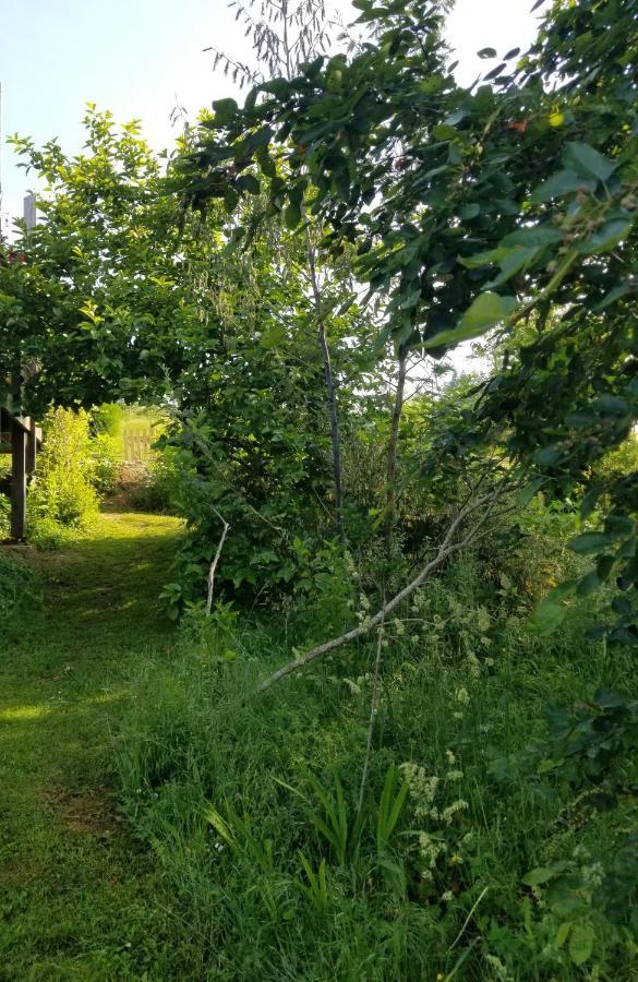 Chalet Le Petit Paradis, Mini Maison,nature,confort,calme
