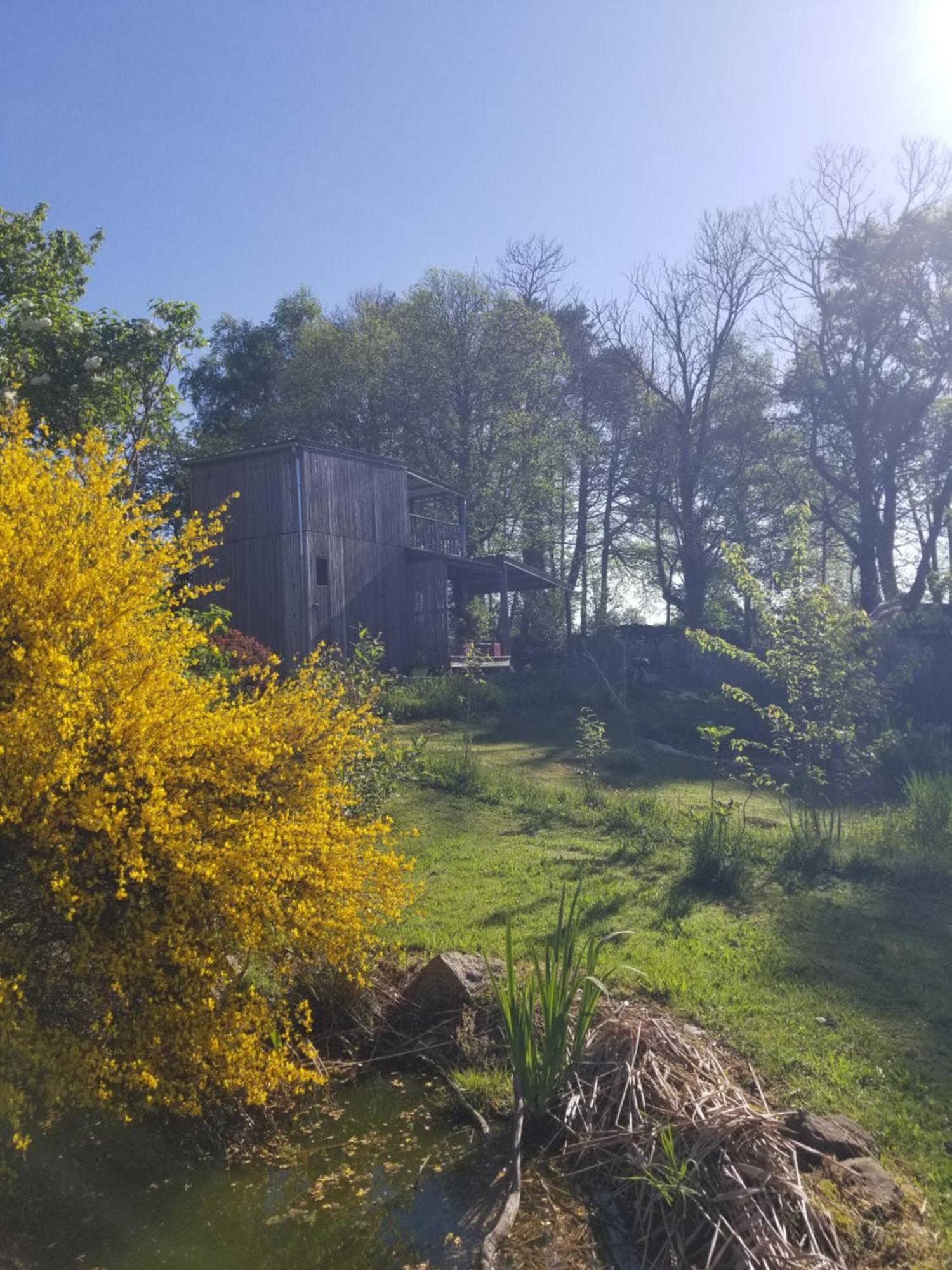 Le Petit Paradis, Mini Maison,nature,confort,calme Chalet *